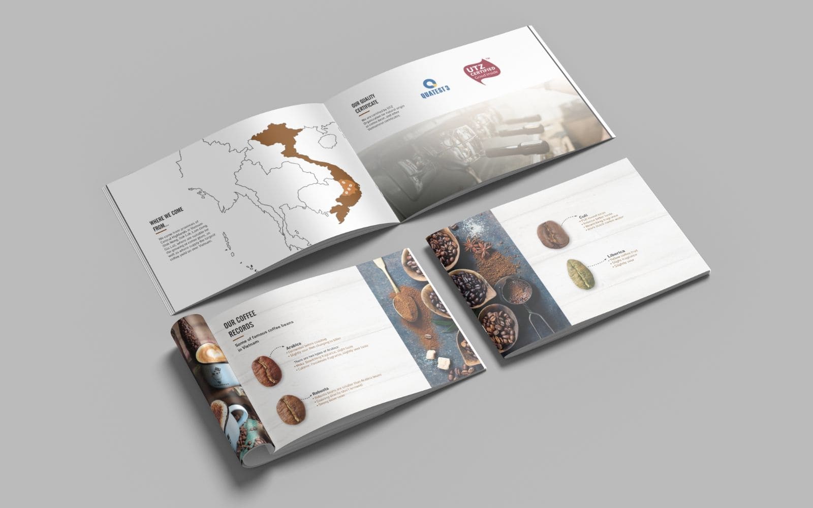 Lưu ý khi in catalogue coffee