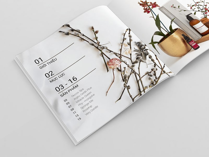 Mẫu catalogue spa cuốn hút
