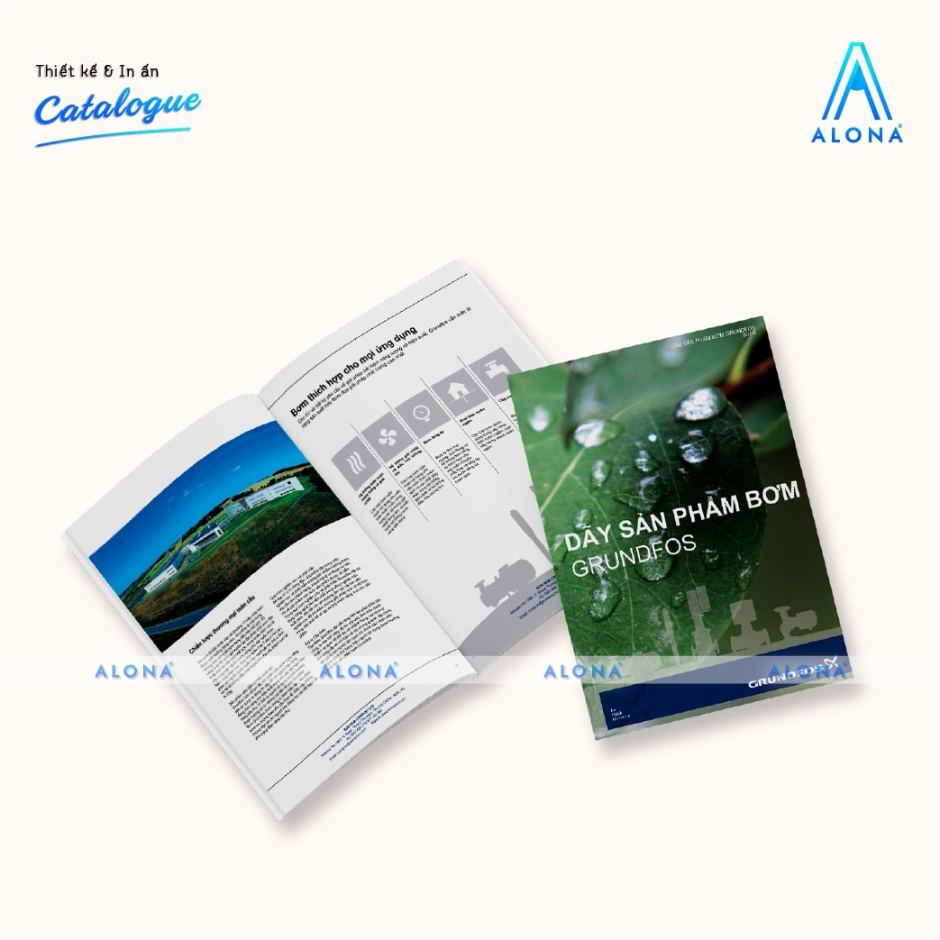 catalogue mẫu đẹp