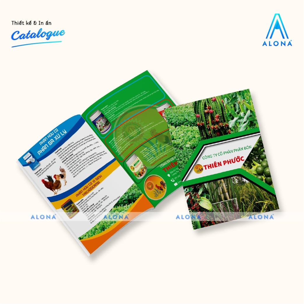 catalogue mẫu đẹp