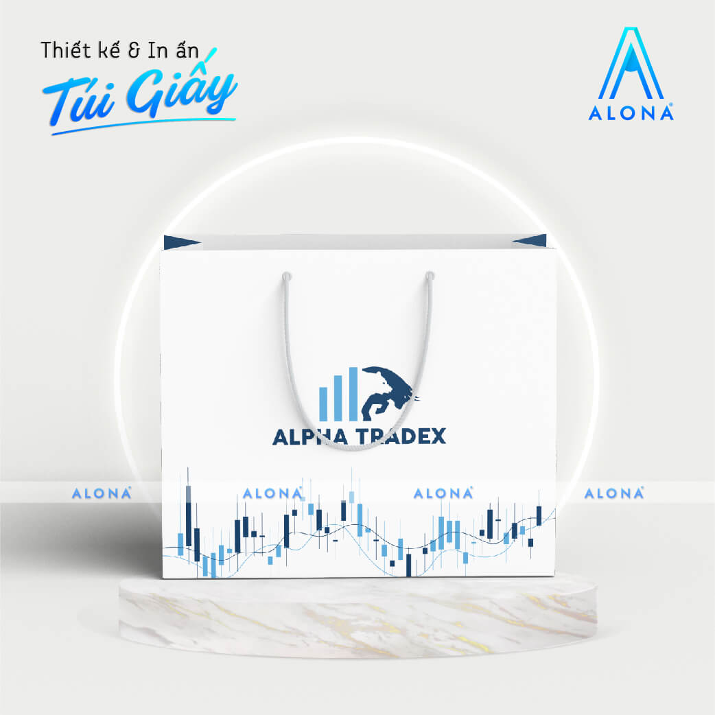 Túi giấy cán màng in ấn chất lượng với giá thành hợp lý Túi giấy cán màng in ấn chất lượng với giá thành hợp lý