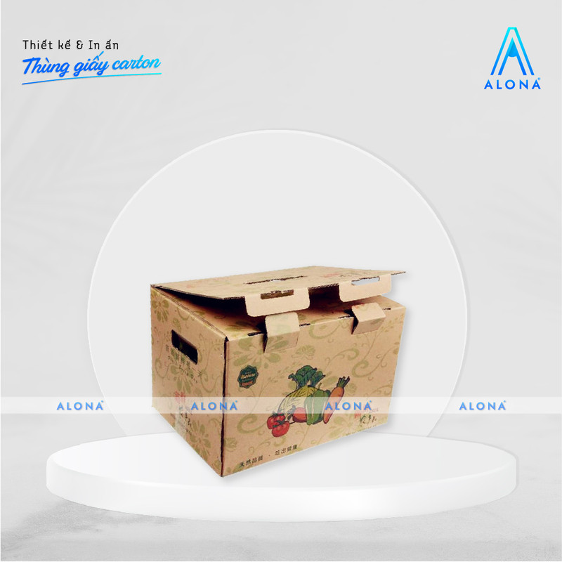 Mẫu in hộp giấy carton dạng nắp gài