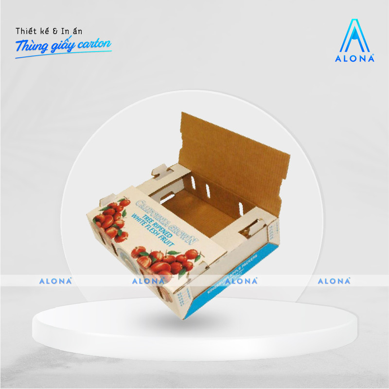 Các loại hoa quả sẽ thích hợp với kích thước hộp giấy trung bình