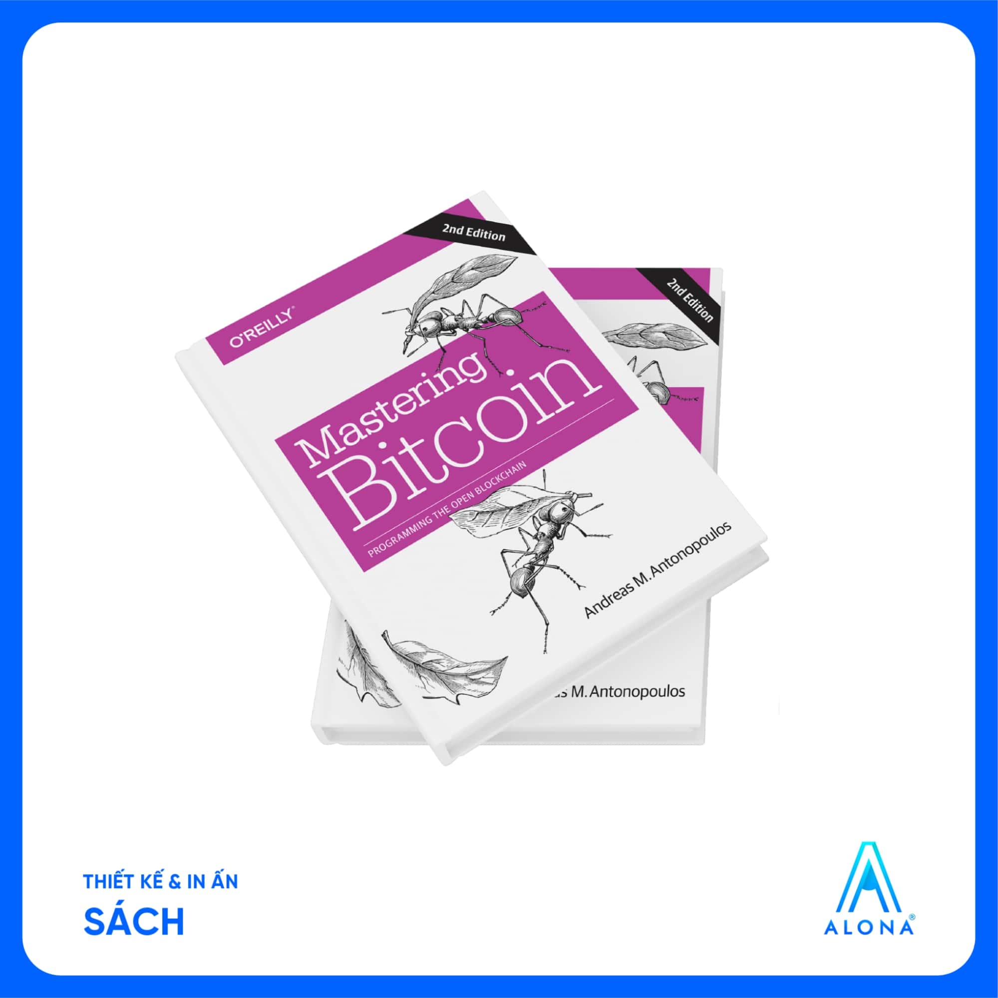 mẫu bìa sách