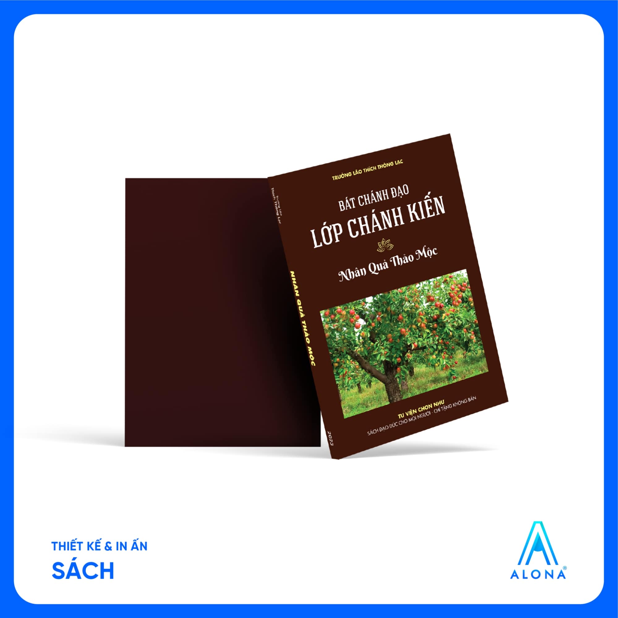 mẫu bìa sách