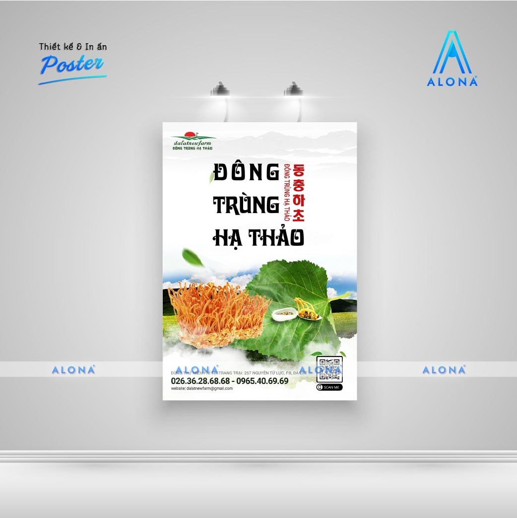 Kích thước và chất liệu in poster phổ biến tại Alona