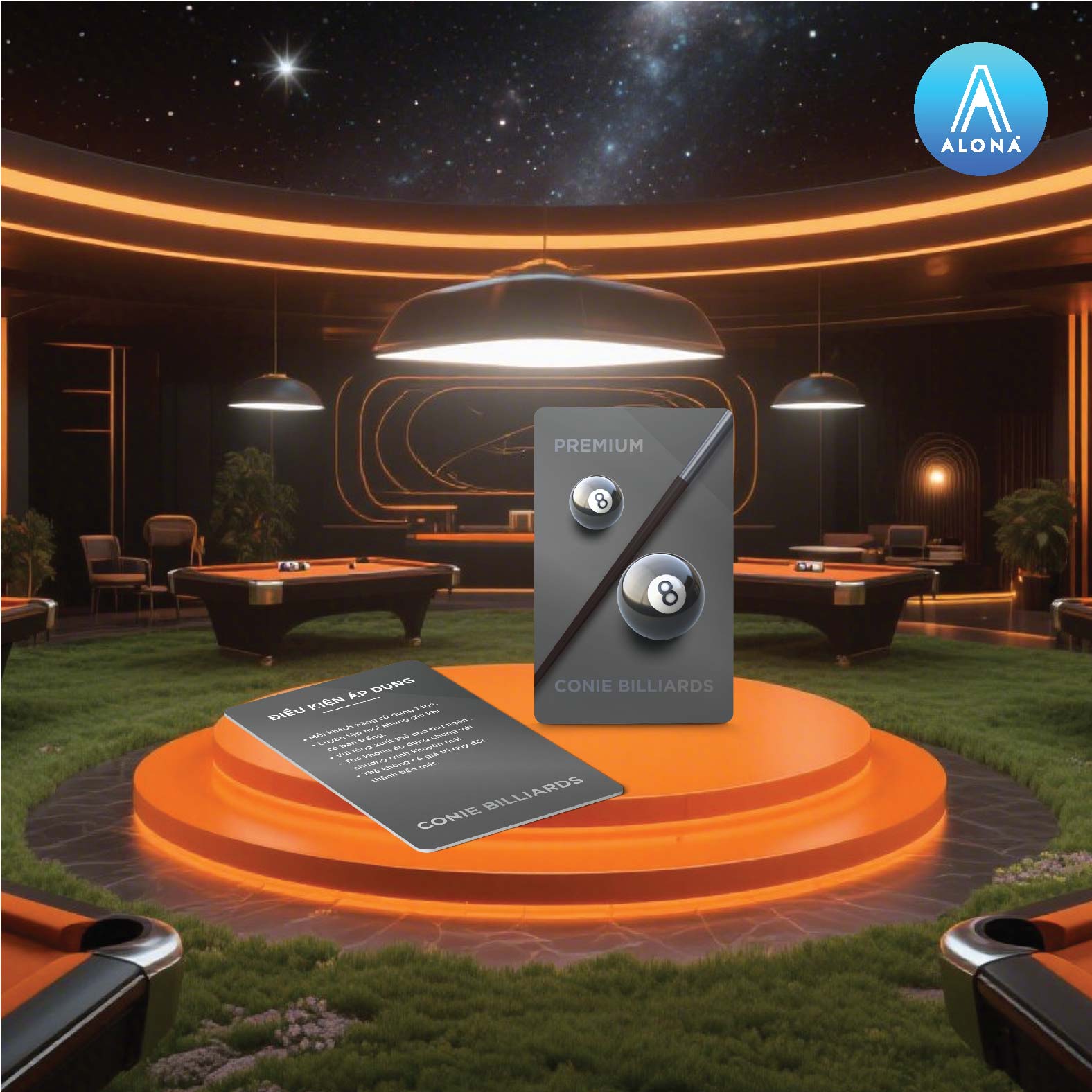Dịch vụ thiết kế Danh thiếp Black VIP tại Alona