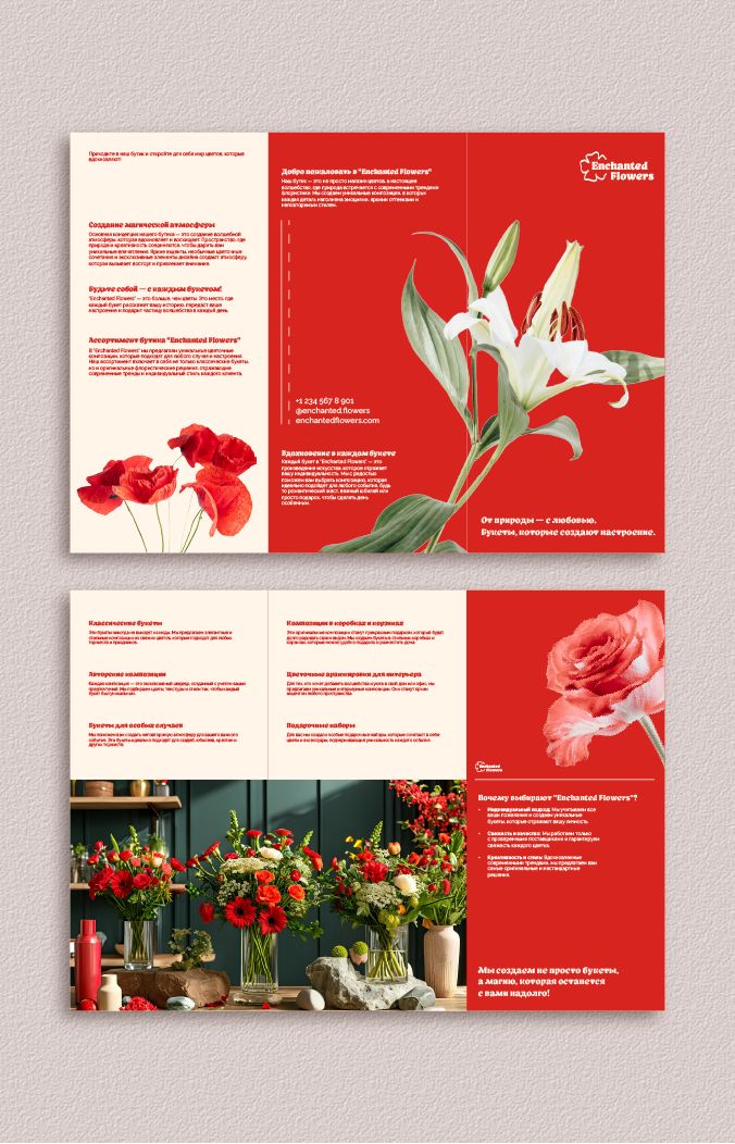 mẫu brochure hình minh họa