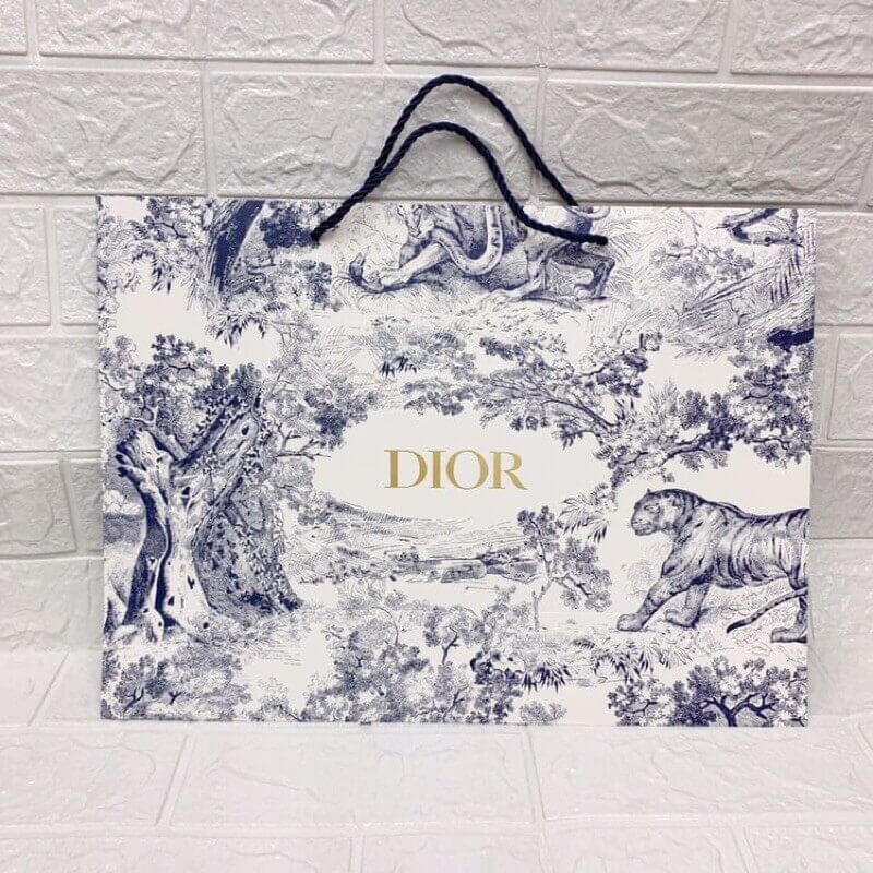 Túi giấy hoa văn thương hiệu Dior sang trọng