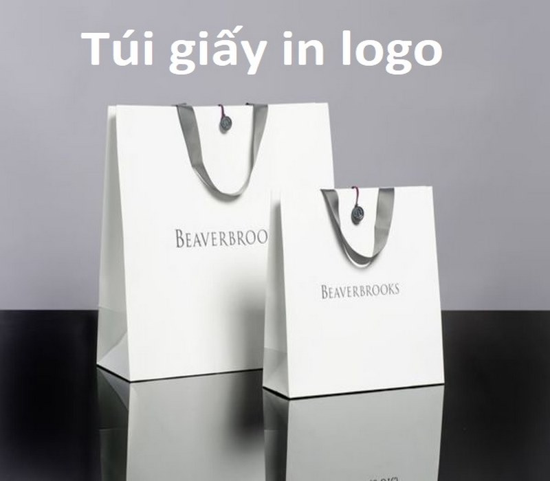 Túi giấy in logo xây dựng lòng tin với khách hàng